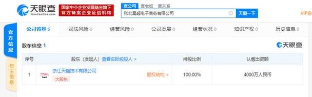天猫技术在张家口落子，新电商公司能否引爆区域数字经济增长点？