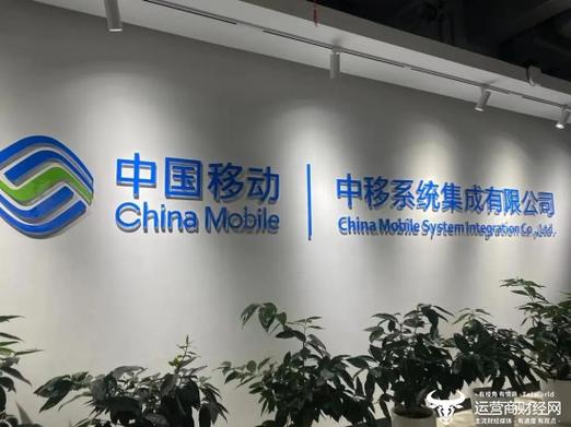 中移系统集成公司因报价带有小数点 错失某地1874万元的信息化项目|系