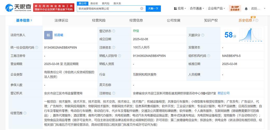 代表人为杨晨曦,注册资本100万人民币,经营范围含信息系统集成服务