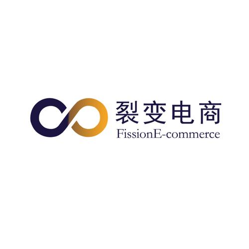 互联网接入及相关服务(不含网吧);软件开发;信息系统集成